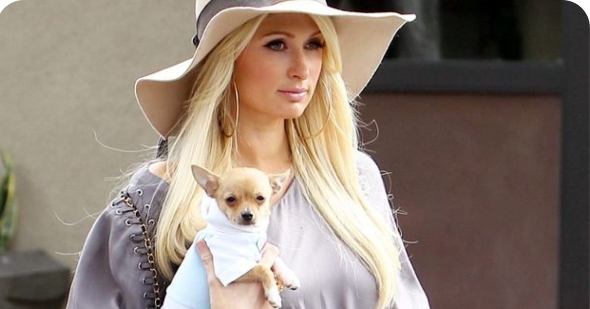 Casual Spring Brunch Outfit