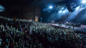 Concert or theatre tickets