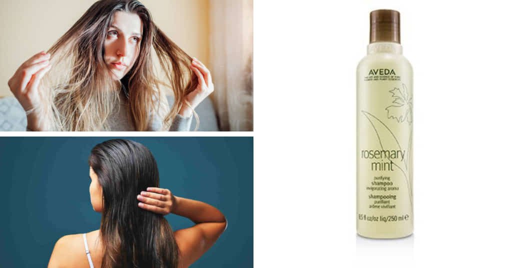 Best Shampoo For Oily Hair