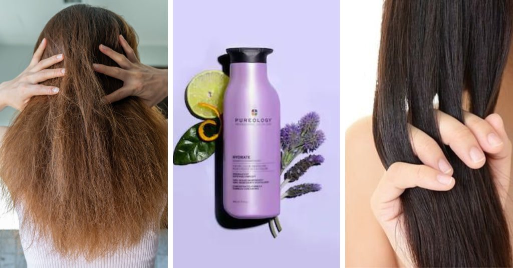 Best Shampoo For Dry Damaged Hair