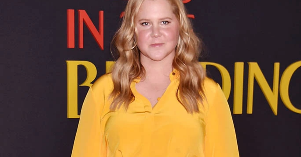 amy schumer fashion