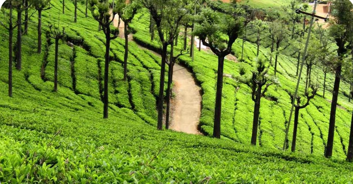 summer vacation places in India 