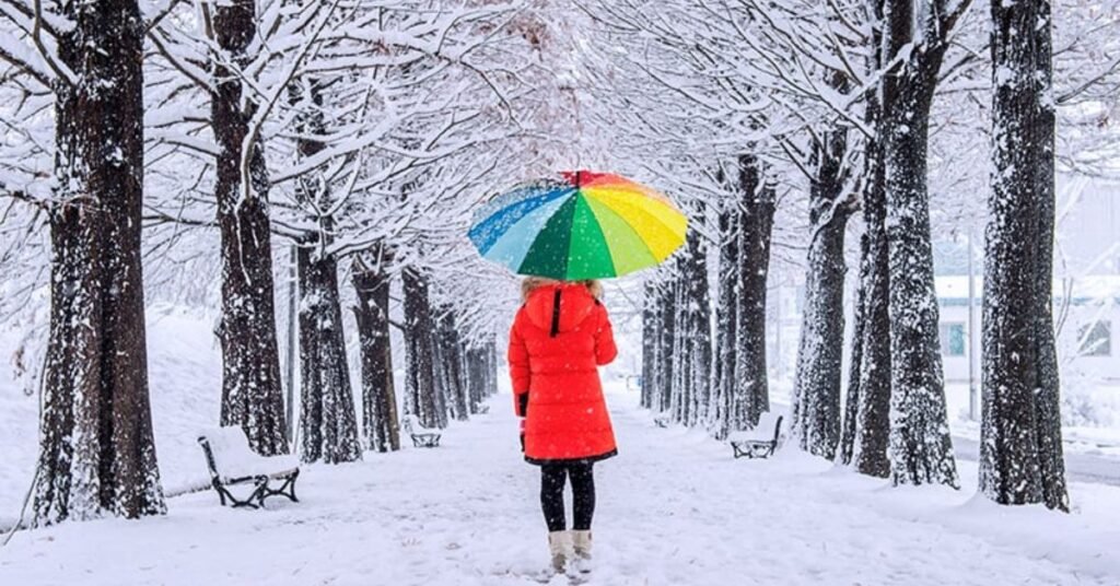 Winter Color Palettes