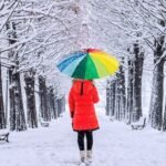 Winter Color Palettes