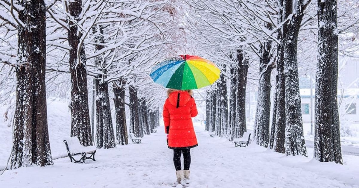 Winter Color Palettes